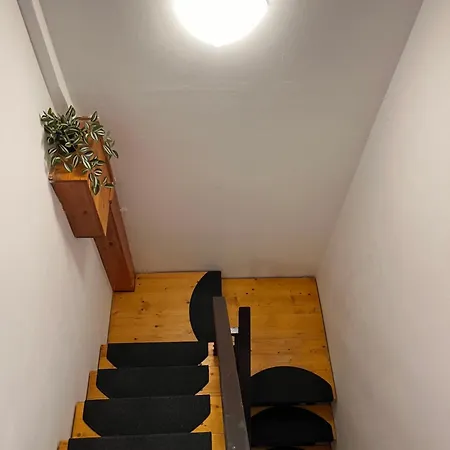 Zomi Vendeghaz Πανσιόν Σίοφοκ